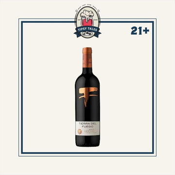 Red Wine Tierra Del Fuego Merlot 750ml 1